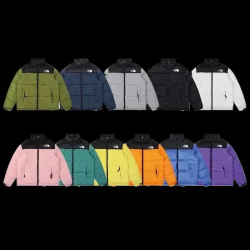 The North face puffer jacket